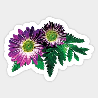 Daisies - Magenta and White Daisies and Ferns Sticker